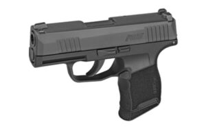 SIG SAUER P365 9mm 3.1in Barrel 10rd Magazines x2 with X-Ray 3 Day-Night Sights Sub Compact Striker Fired Semi-auto Pistol (365-9-BXR3)